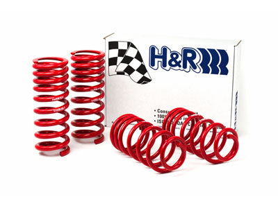 79-04 Ford Mustang H&R Race Springs