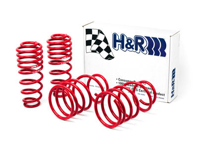 05-09 Ford Mustang H&R Race Springs
