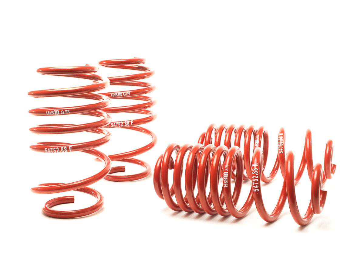06-09 VW GTI H&R Race Springs