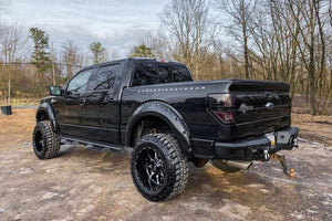 14 Ford F-150 4WD 6 Inch Lift Kit - Rough Country