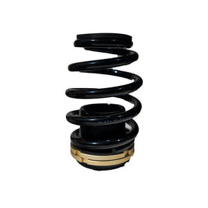 14-15 Honda Civic Si BLOX Racing Plus Series Pro Coilovers