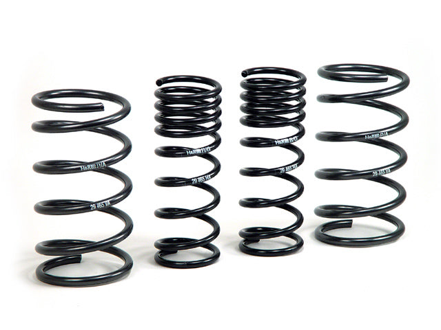 00-05 Ford Focus H&R Sport Springs