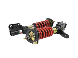 02-06 Acura RSX Skunk2 Coilovers - Pro ST