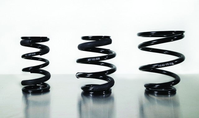 BC Racing Replacement Springs