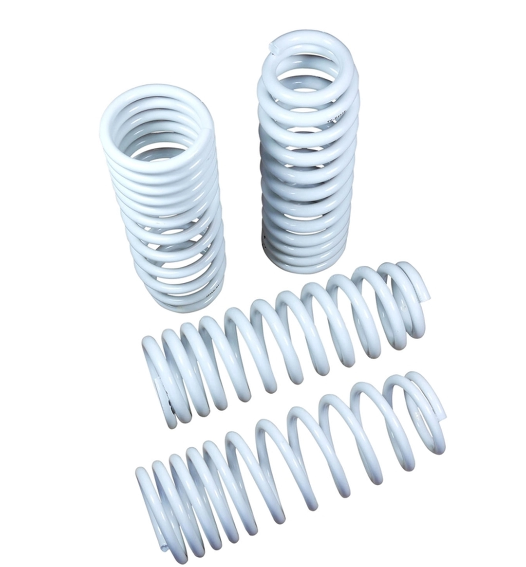 92-00 Honda Civic Truhart Lowering Springs