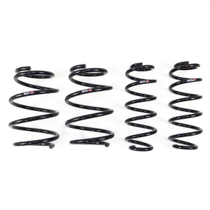 19+ Toyota Corolla Hatchback RSR Down Sus Lowering Springs