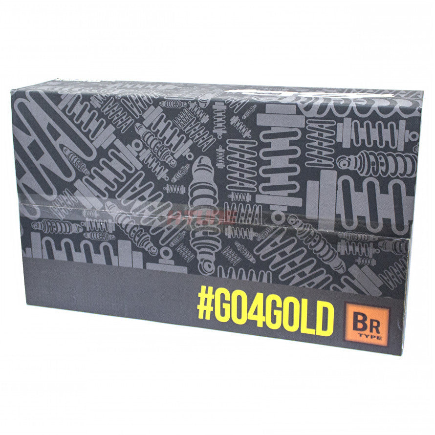 Evo 9 BC Racing coilovers B-08-BR