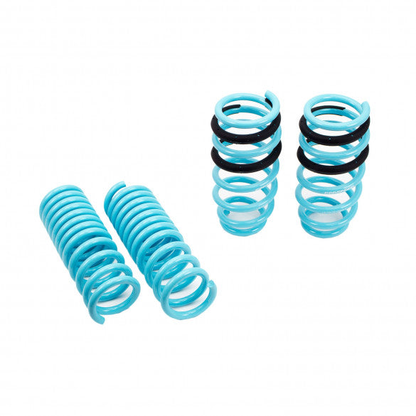 LS-TS-DE-0003-Dodge-Challenger-V8-RWD-Traction-S-Lowering-Springs-