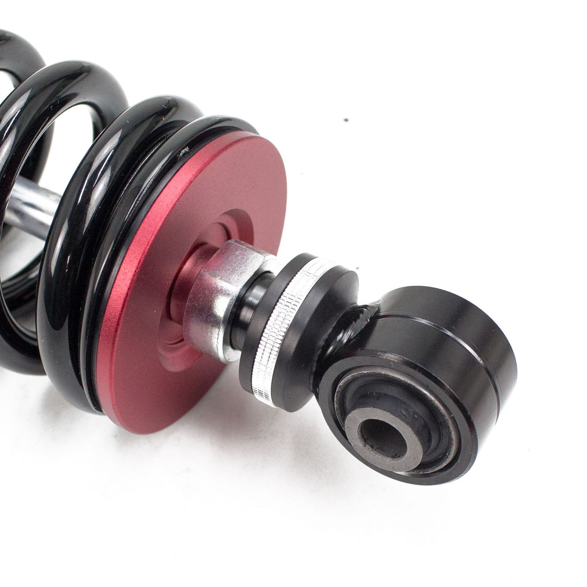 00-06 BMW 3 Series E46 True Rear GodSpeed Coilovers- MAXX