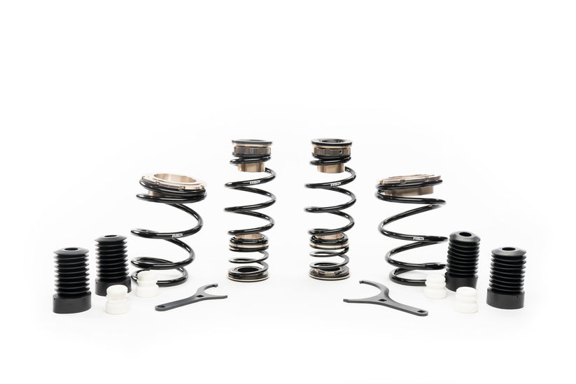 131HD001N1-Honda-Civic-Type-R-ASP-Series-Coilovers-(Without-Front-Camber-Plates)
