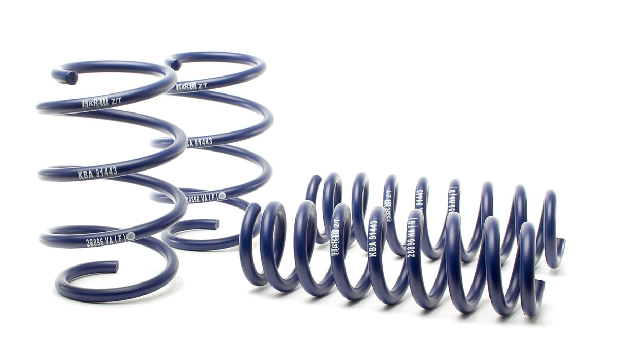 15-19 BMW 2 Series RWD H&R Sport Springs