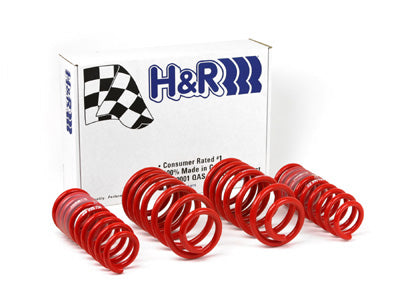 96-01 Audi A4 Quattro H&R Race Springs