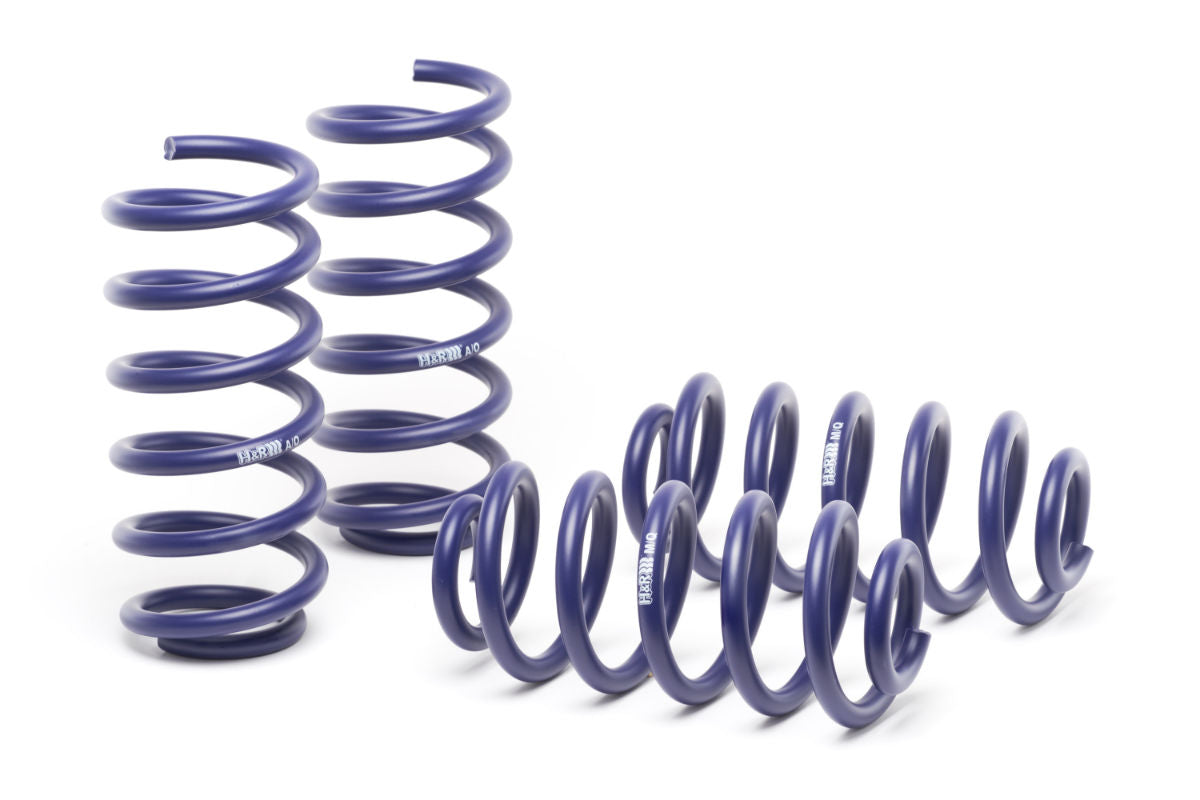 17-19 Audi A4/S4  H&R Sport Springs