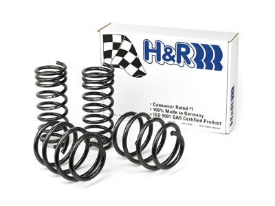 04-10 BMW 6 Series  H&R Sport Springs