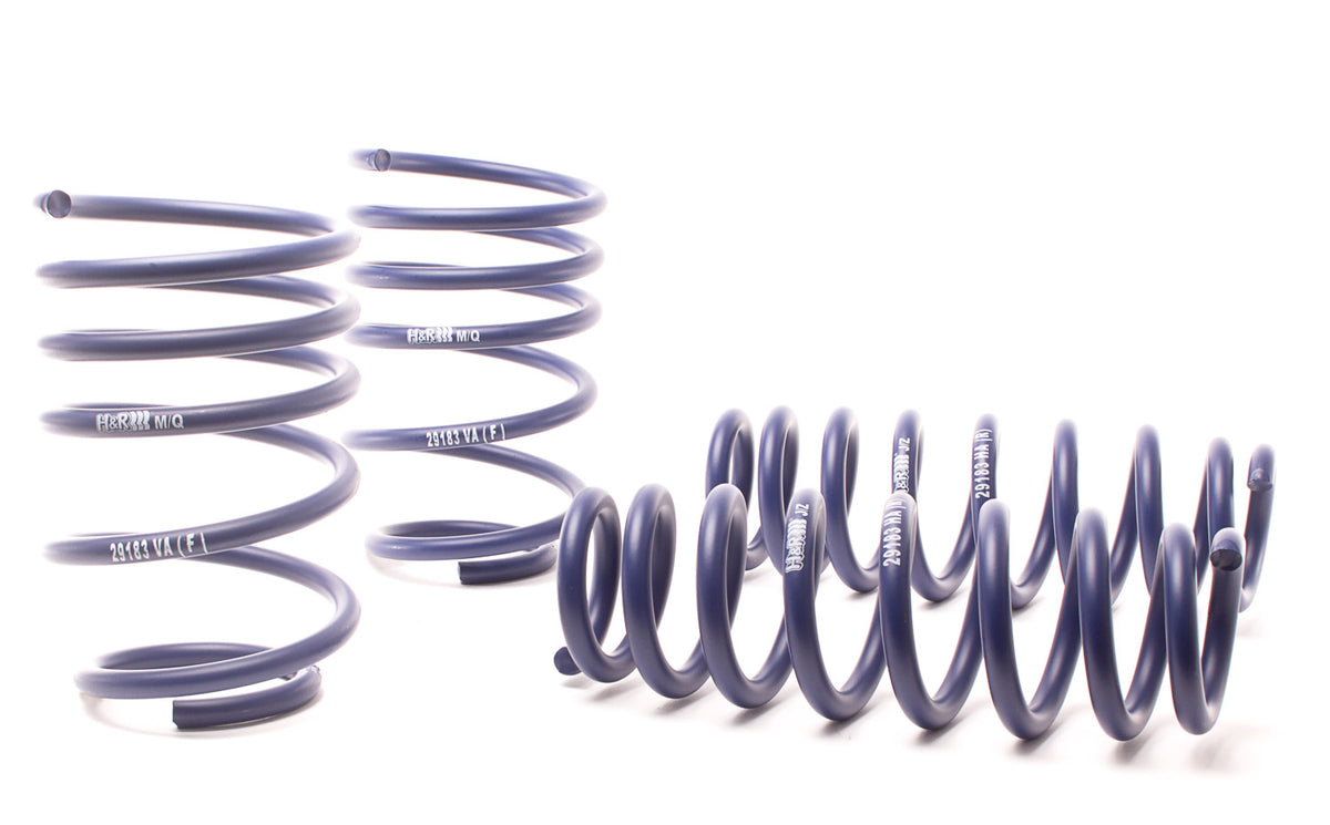 06-13 BMW 3 Series  H&R Race Springs