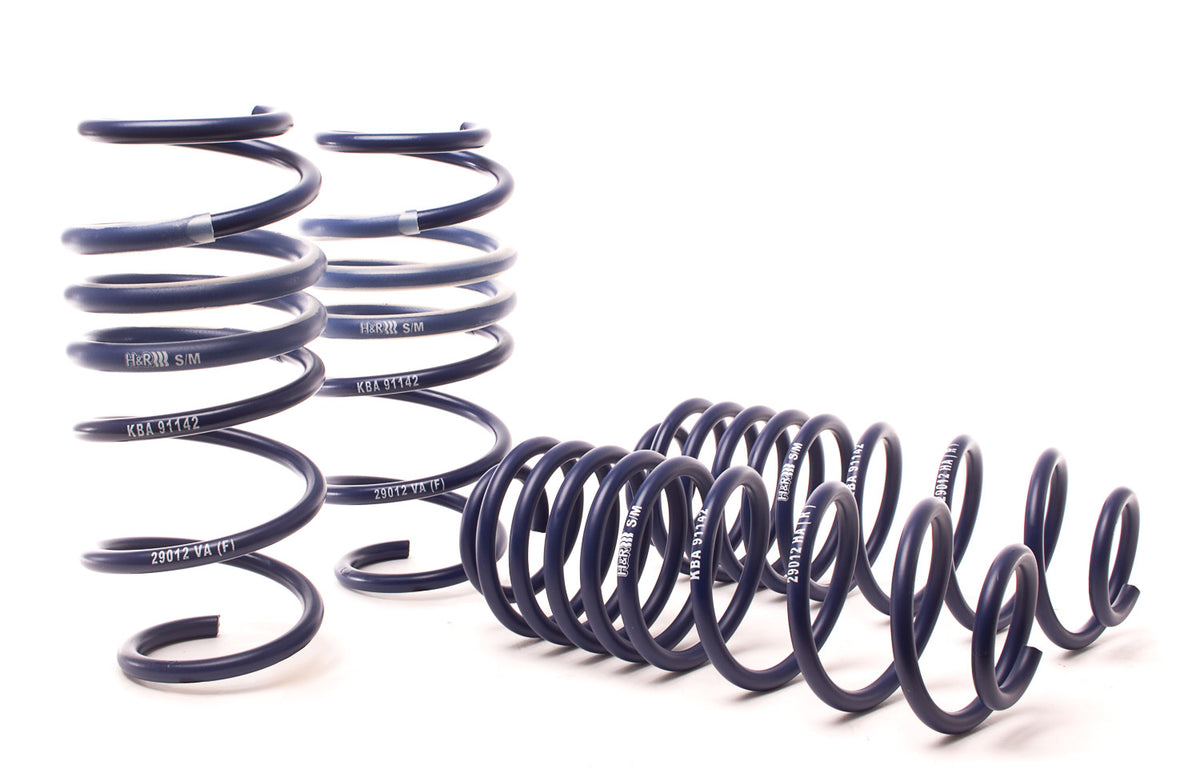 10-19 Ford Fiesta  H&R Sport Springs