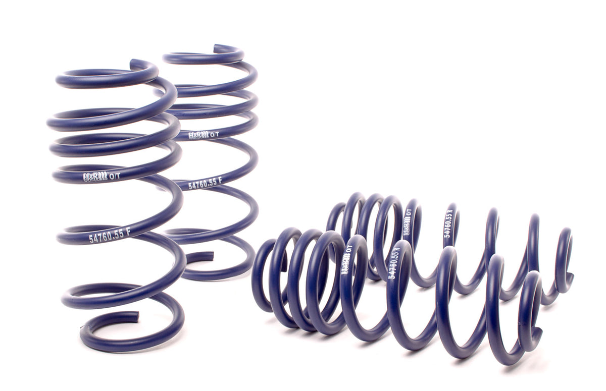 06-19 VW Passat  H&R OE Sport Springs
