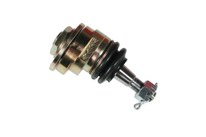 90-97 Honda Accord Eibach Pro-Alignment Kit - 5.67145K