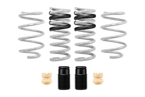 15-23 Ford Mustang Eibach Drag Launch Kit