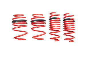 MR-LS-BF98X-BMW-X3-M-Lowering-Springs-