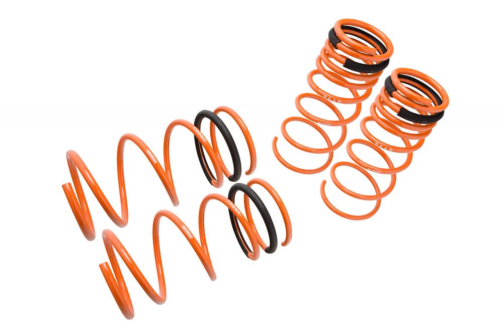 MR-LS-HT03-Hyundai-Tiburon--Lowering-Springs-