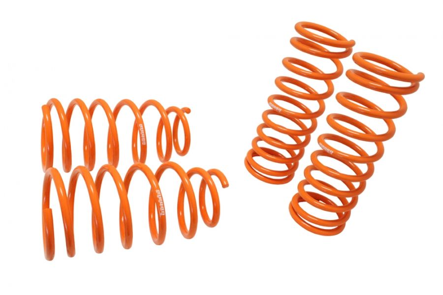 MR-LS-KR005-Kia-Rio--Lowering-Springs-