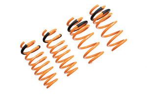 MR-LS-TSL17-Tesla-Model-3-RWD-Lowering-Springs-