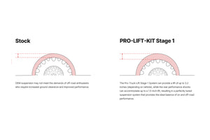 09-13 Ford F-150 Eibach Pro-Truck Stage 1 Lift Kit - E80-35-002-01-22