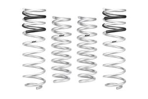23-25 Ford F-150 Eibach Set of 4 Springs