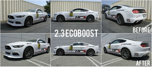 15+ Ford Mustang Megan Racing Lowering Springs