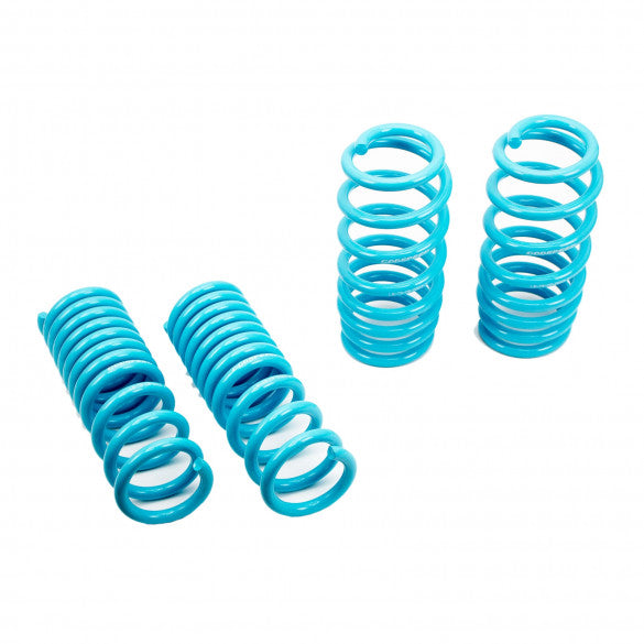 LS-TS-DE-0006-Chrysler-300-SRT8-Traction-S-Lowering-Springs-