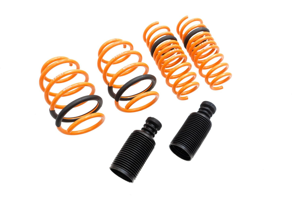 09-16 Hyundai Genesis Coupe Megan Racing Lowering Springs