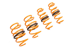 19+ Toyota Corolla Hatchback Megan Racing Lowering Springs
